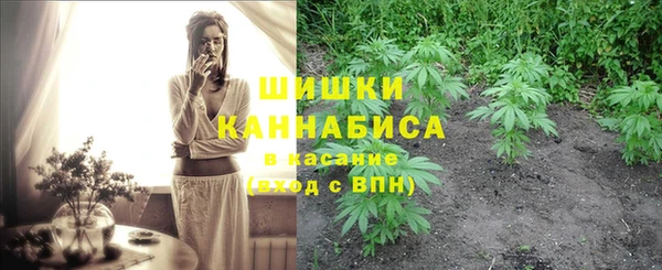 дурь Майский