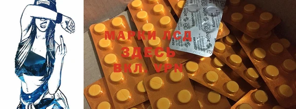 мяу мяу мука Магас