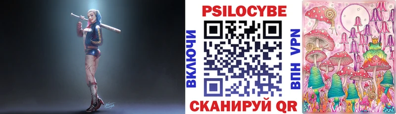 Купить где  Николаевск  Галлюциногенные грибы Psilocybine cubensis 